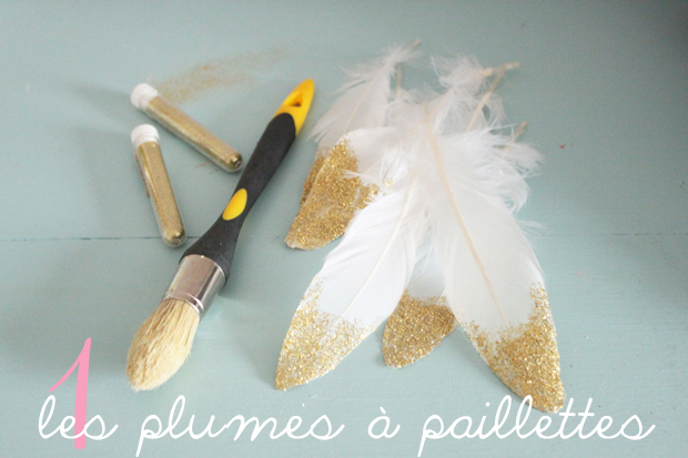 plumes a paillettes
