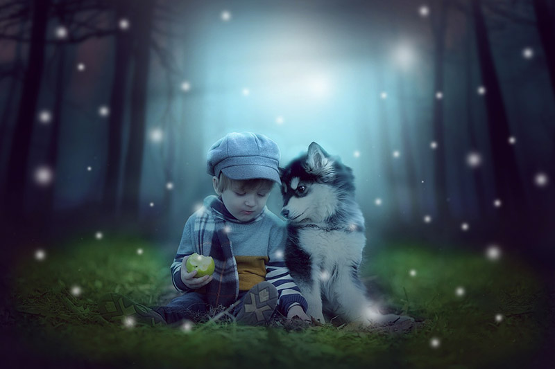 bienfaits d'un chien sur un bébé